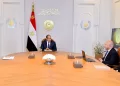 President Sisi reviews progress of transport projects nationwide