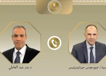 Egypt urges regional, int’l coordination to avoid ME chaos