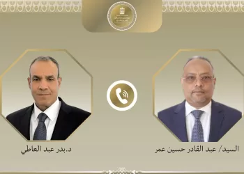 Egypt, Djibouti foreign ministers discuss Horn of Africa tensions