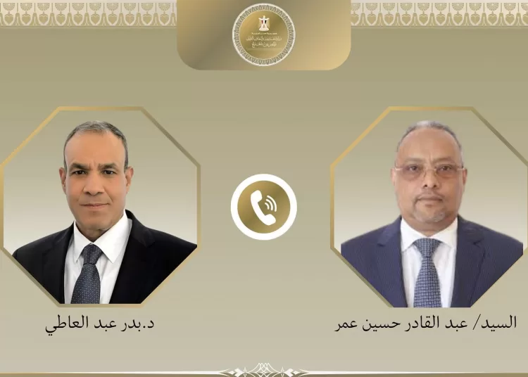 Egypt, Djibouti foreign ministers discuss Horn of Africa tensions 1 - Egyptian Gazette