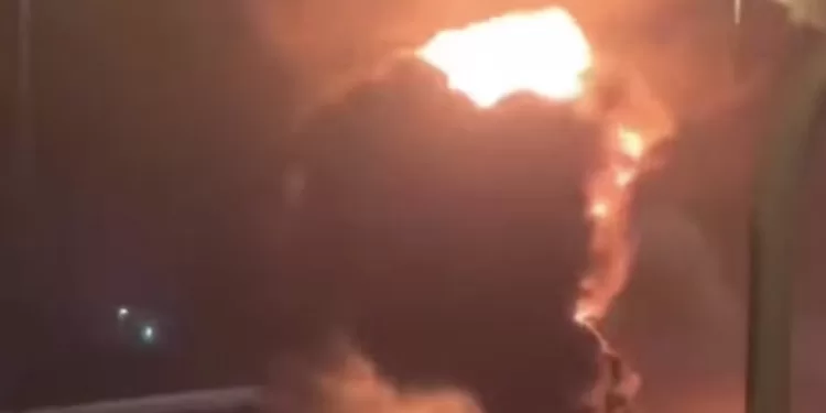 Egyptian Gazette 44 - Egyptian Gazette