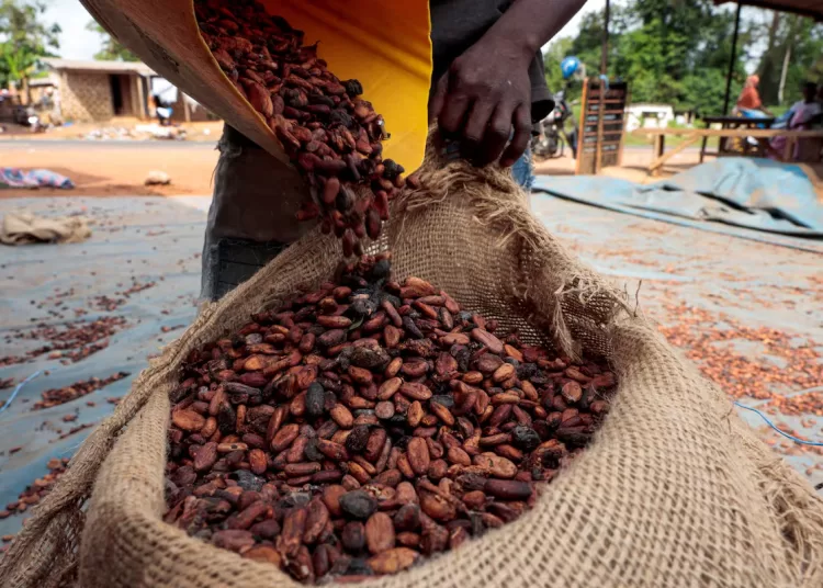 Is coffee the new cocoa? Some expect coffee prices to crash 1 - Egyptian Gazette