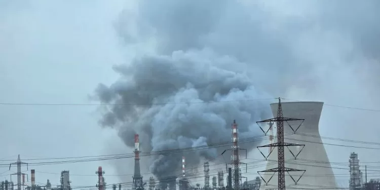 Egyptian Gazette 38 - Egyptian Gazette