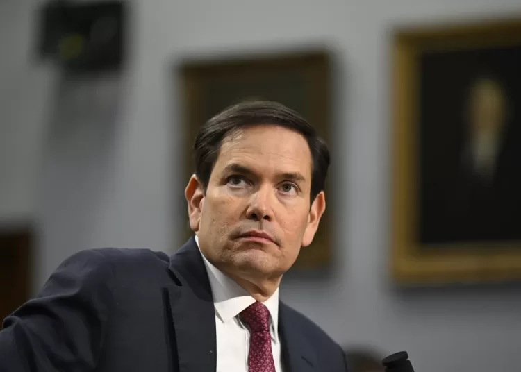 Rubio to attend G7 talks in France on Ukraine, Middle East 11 - Egyptian Gazette Secretary of State Marco Rubio. Photo: John McDonnell/Getty Images