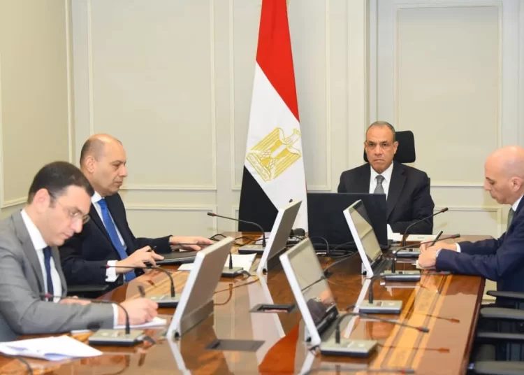 Egypt’s Foreign Minister Badr Abdel-Aati