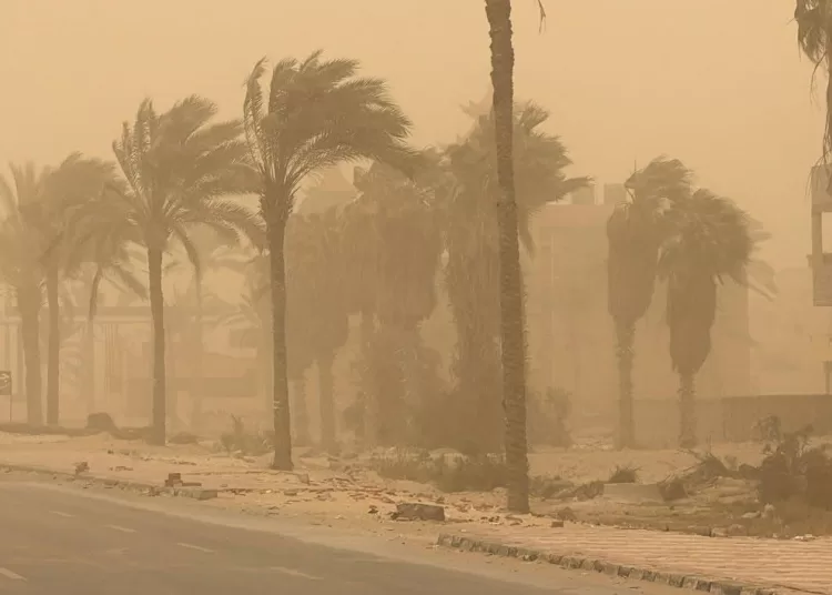 Local Development Ministry monitors severe weather 1 - Egyptian Gazette