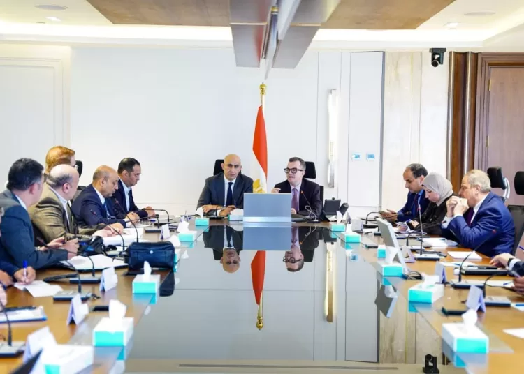 Planning, education ministers discuss investment plan for schools   1 - Egyptian Gazette