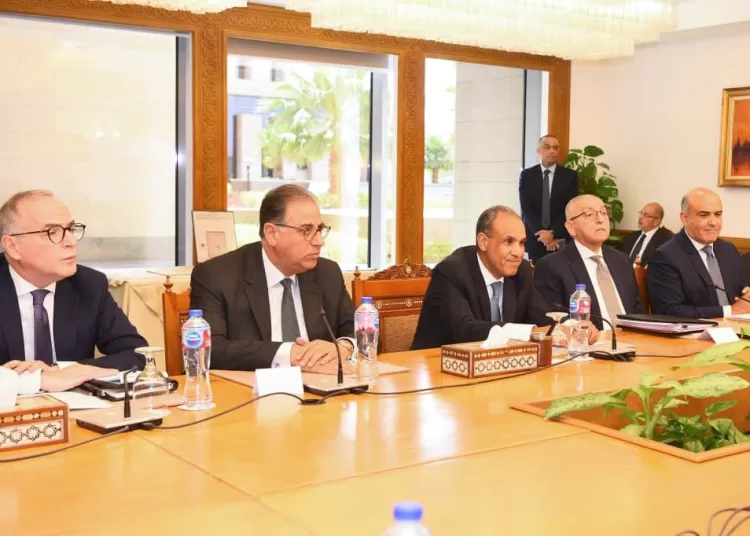 Foreign, Communications Ministers discuss digital cooperation 13 - Egyptian Gazette Foreign, Communications Ministers discuss digital cooperation 12 - Egyptian Gazette