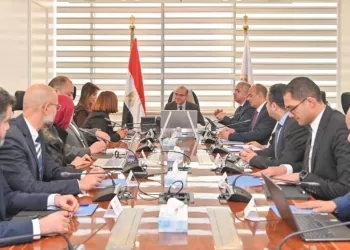 Egypt committed to localising auto manufacturing, boosting industrial exports