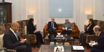 Egypt, UK discuss green investment cooperation  