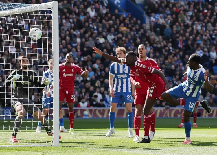 Liverpool, Chelsea slip up in Champions League race 10 - Egyptian Gazette