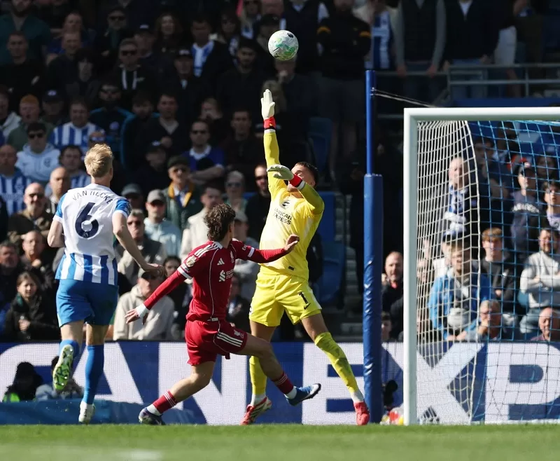 Liverpool, Chelsea slip up in Champions League race 12 - Egyptian Gazette