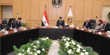 Egypt explores industrial cooperation with China’s Baowu