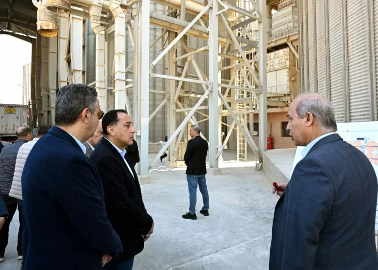 Moustafa Madbouli, Grain storage