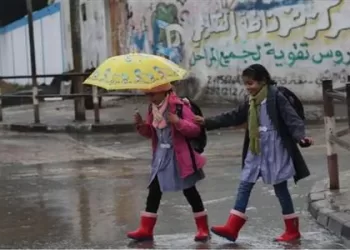 3 governorates halt classes as sudden bad weather hits Egypt 