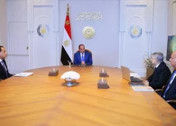 Sisi urges timely completion of strategic maritime projects