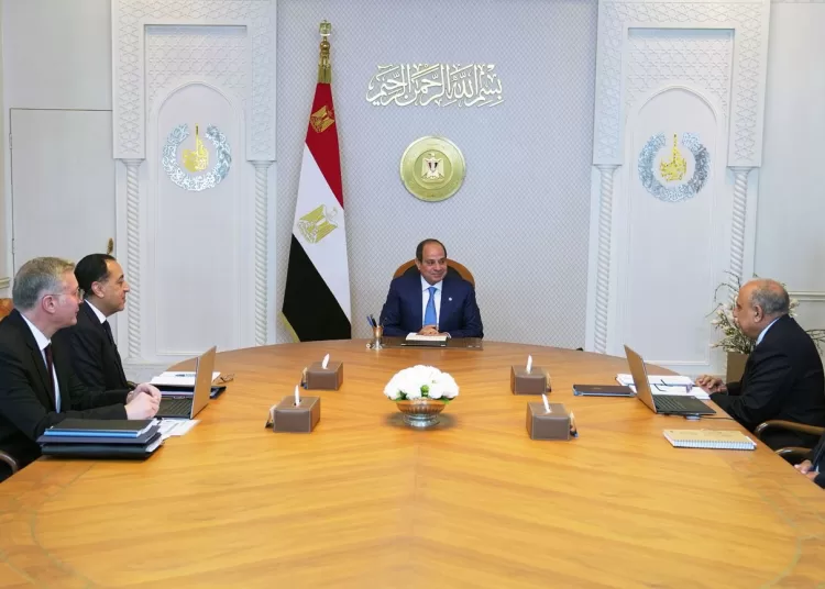 President reviews efforts to secure energy supply amid regional turmoil 10 - Egyptian Gazette