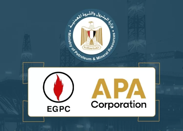 New gas discovery in Western Desert 11 - Egyptian Gazette