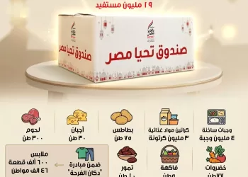 ‘Tahya Misr’ Fund achievements highlighted