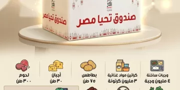 ‘Tahya Misr’ Fund achievements highlighted 1 - Egyptian Gazette ‘Tahya Misr’ Fund achievements highlighted