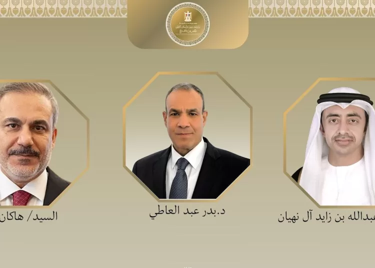 FM discusses regional escalation with UAE, Turkish counterparts 1 - Egyptian Gazette