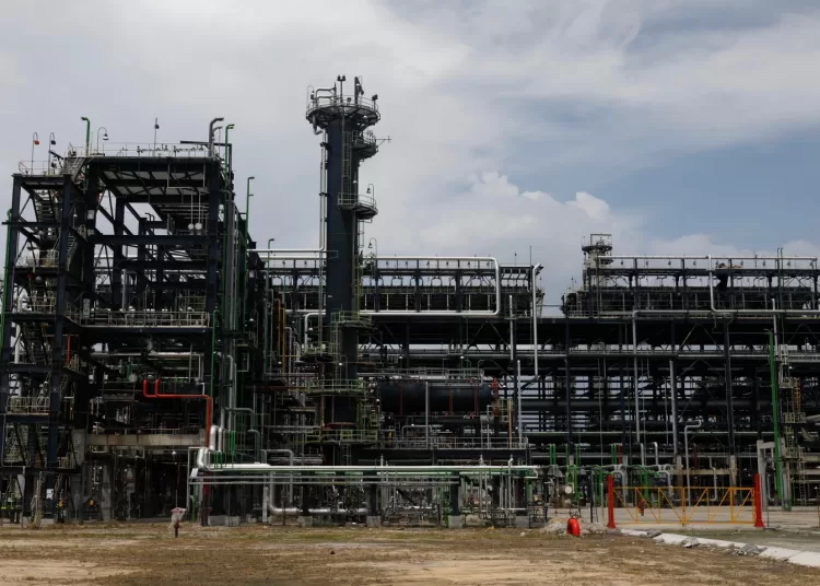 Africa is hurting again from global crisis 2 - Egyptian Gazette Africa is hurting again from global crisis 1 - Egyptian Gazette