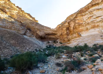 ⁠Ice Age engravings discovered in Sinai