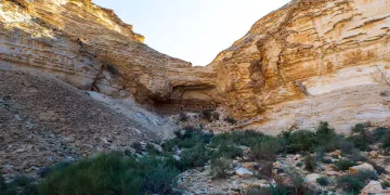⁠Ice Age engravings discovered in Sinai