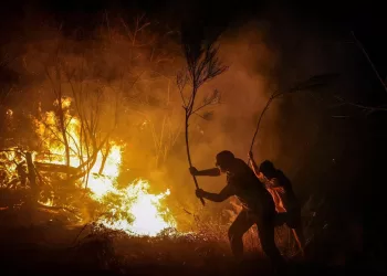 Europe unprepared for worsening wildfires, report warns