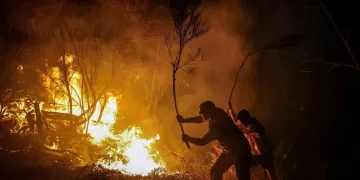 Europe unprepared for worsening wildfires, report warns