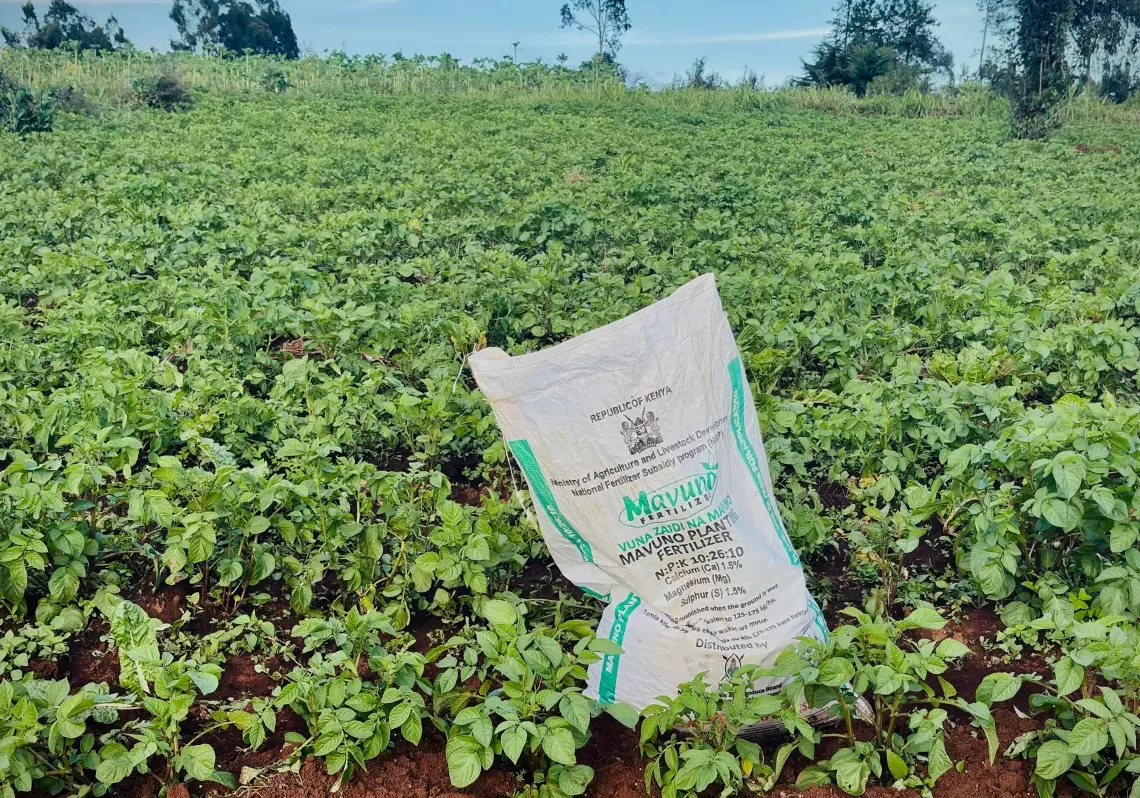 The war in Iran sparks a global fertiliser shortage 12 - Egyptian Gazette