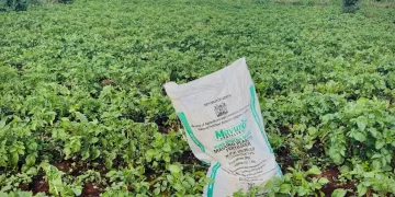 The war in Iran sparks a global fertiliser shortage