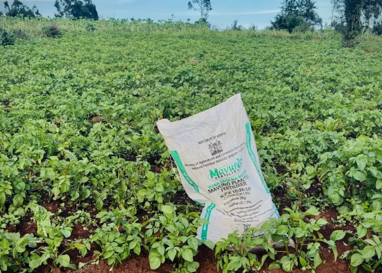 The war in Iran sparks a global fertiliser shortage 12 - Egyptian Gazette