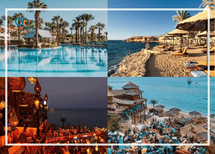 The British newspaper The Guardian has recommended that travellers visit Sharm El-Sheikh and Hurghada during the next summer, highlighting the two destinations as offering the perfect blend of relaxation and adventure.