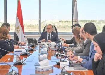 ‘Egyptian economy progressing steadily despite regional turbulence’