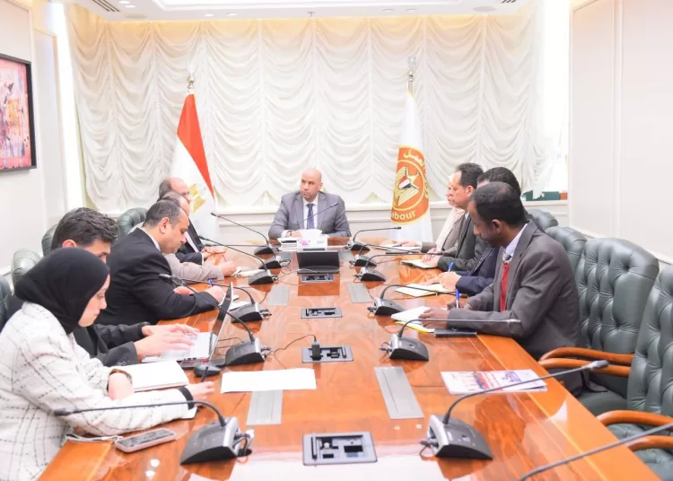 New system to prepare Egyptian workforce for global markets 1 - Egyptian Gazette markets