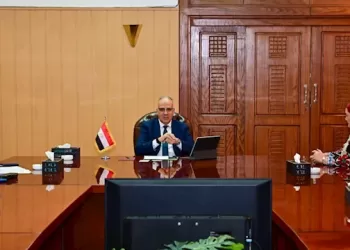 Egypt’s initiative to empower girls through green handicrafts