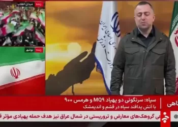 Iran calls for human chains to protect power plants