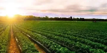 Egypt accelerates green economy shift under Vision 2030