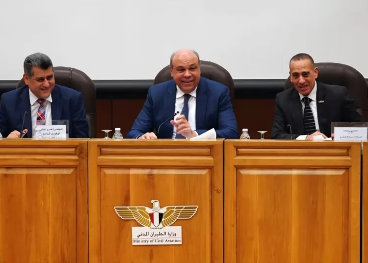 Egypt opens new horizons for private sector aviation investments 10 - Egyptian Gazette
