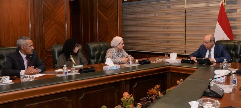 Aviation Ministry considers Parl’t ideas for airport development 16 - Egyptian Gazette