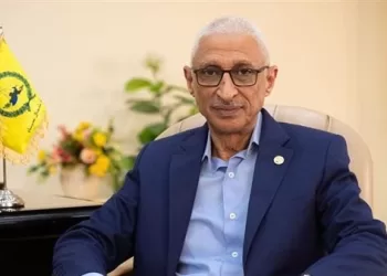 North Sinai Governor: Development a strategic weapon that builds future, prevents return of terrorism