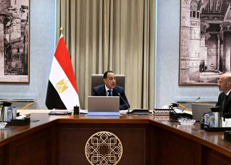 Egypt considers Chinese offer for medical city in New Capital 11 - Egyptian Gazette