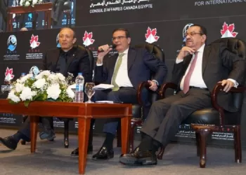 Egypt advances plan to foster food security, agro sustainability