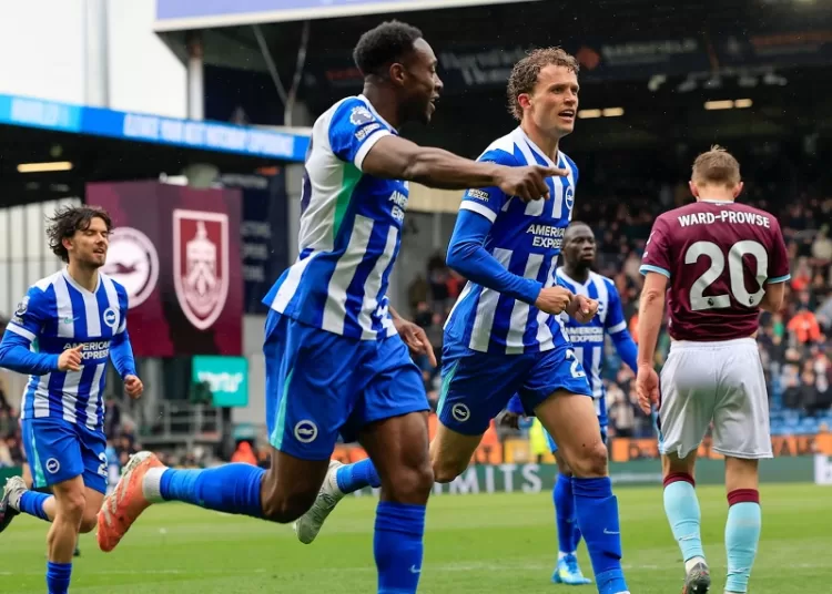 Brighton’s hot form fuels European hopes 12 - Egyptian Gazette Brighton’s hot form fuels European hopes 11 - Egyptian Gazette