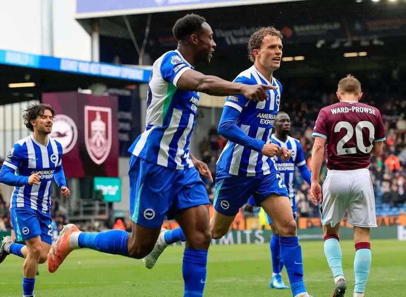 Brighton’s hot form fuels European hopes 14 - Egyptian Gazette Brighton’s hot form fuels European hopes 13 - Egyptian Gazette