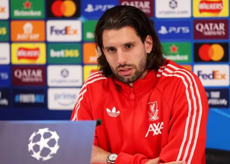 Dominik sorry to fans after City incident 11 - Egyptian Gazette