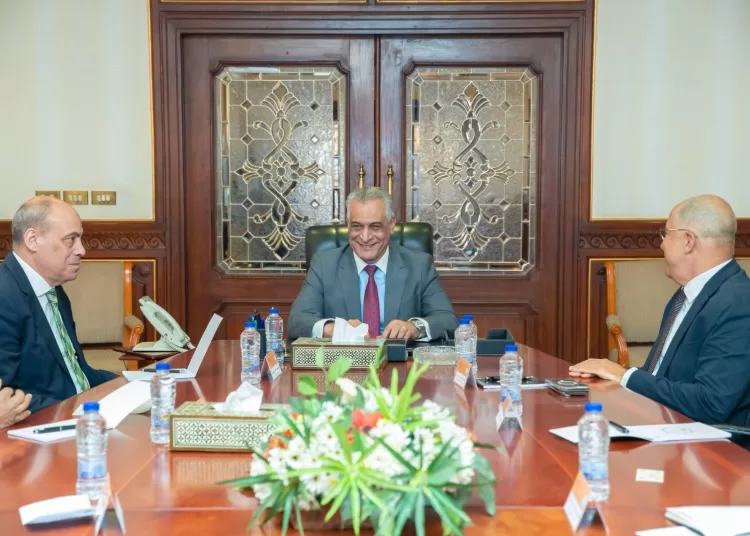Egypt keen to increase local manufacturing, reduce imports 12 - Egyptian Gazette