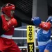 Egypt’s boxers pack a punch on global stage