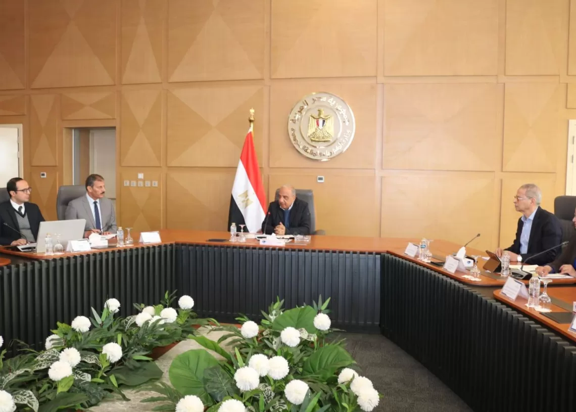 Electricity min. stresses public role in energy savings 12 - Egyptian Gazette